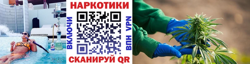 Наркошоп Киселёвск A-PVP  МАРИХУАНА  KRAKEN ссылки  Гашиш  Кодеин  Мефедрон  Псилоцибиновые грибы 