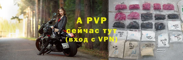 скорость Новозыбков