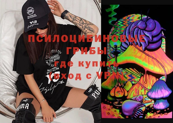 скорость Новозыбков