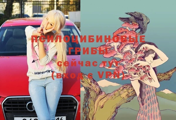 дурь Новокубанск