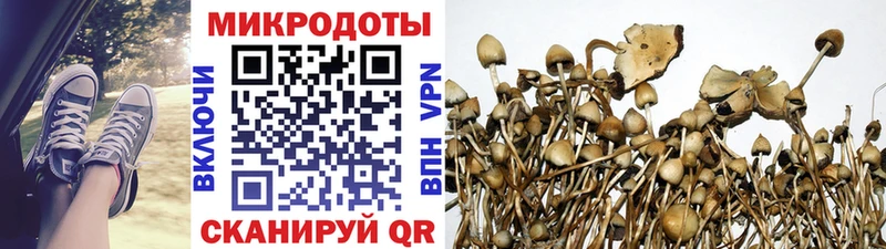 Псилоцибиновые грибы мухоморы  Киселёвск 